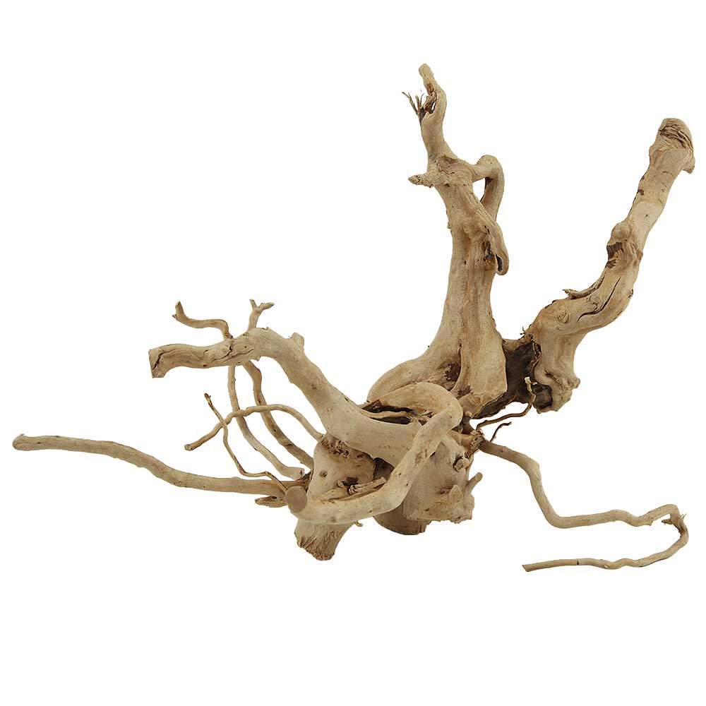Legno Branch Wood 2267 con foto reale e misure 33x21x24h