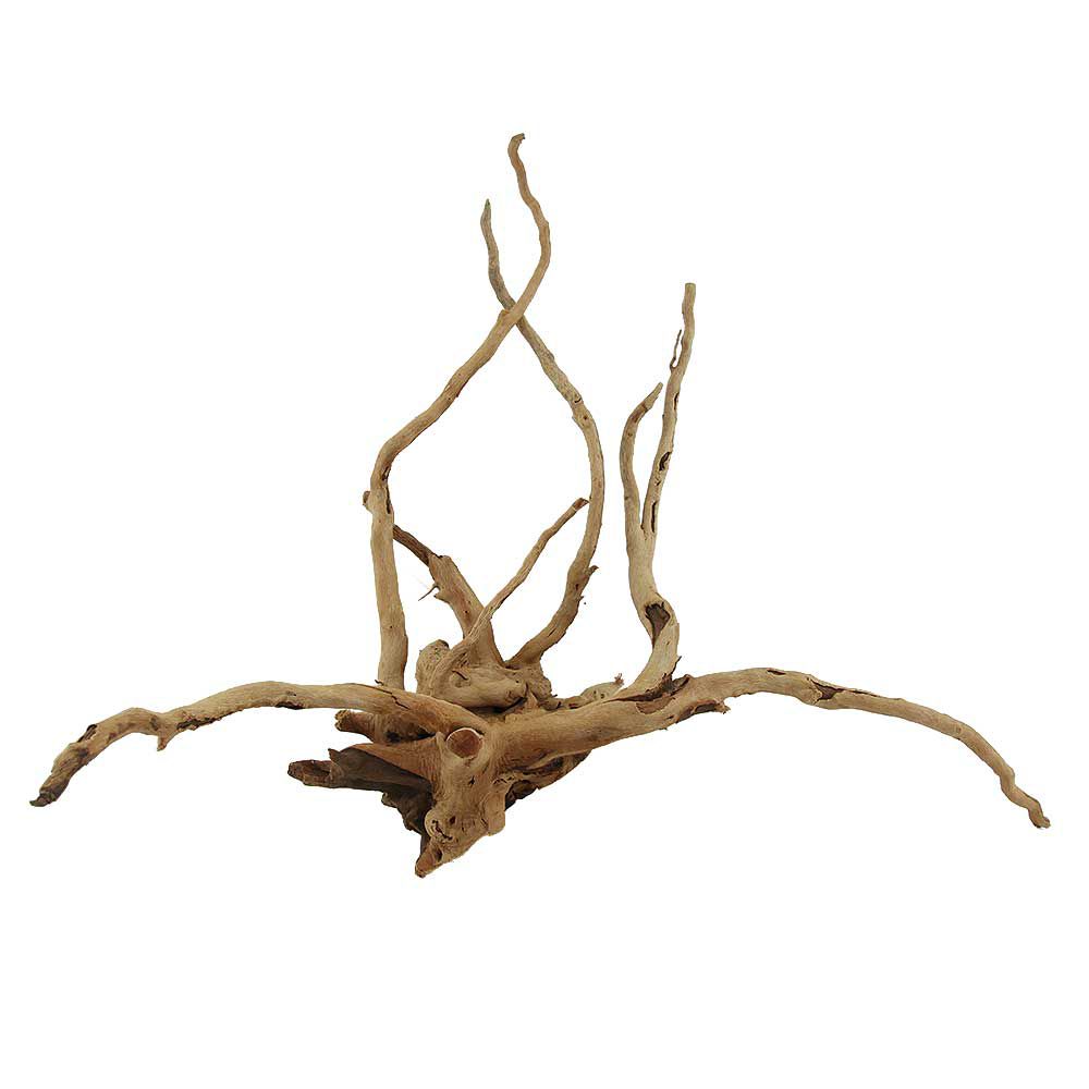 Legno Branch Wood 2268 con foto reale e misure 42x24x33h