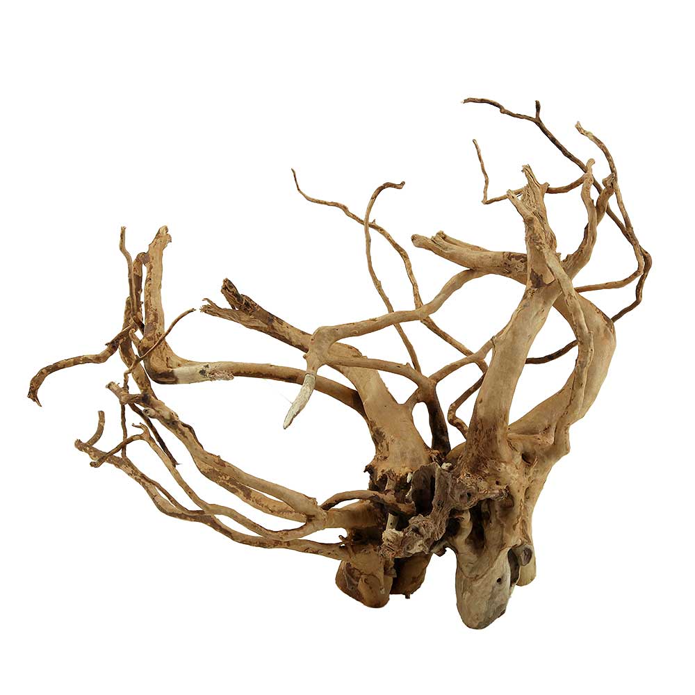 Legno Branch Wood 2269 con foto reale e misure 28x20x26h