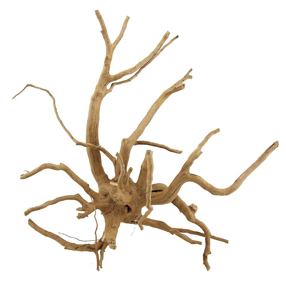 Legno Branch Wood 2271 con foto reale e misure 48x18x46h