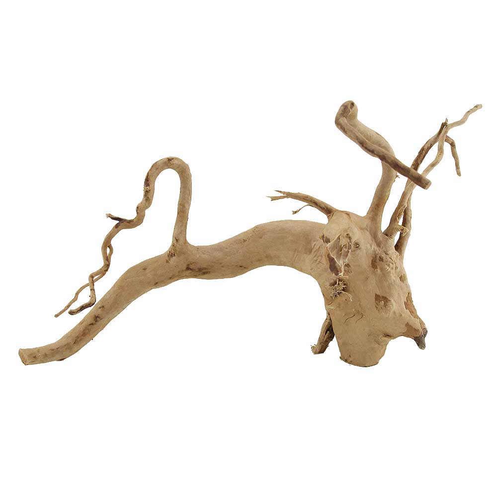 Legno Branch Wood 2273 con foto reale e misure 37x22x21h