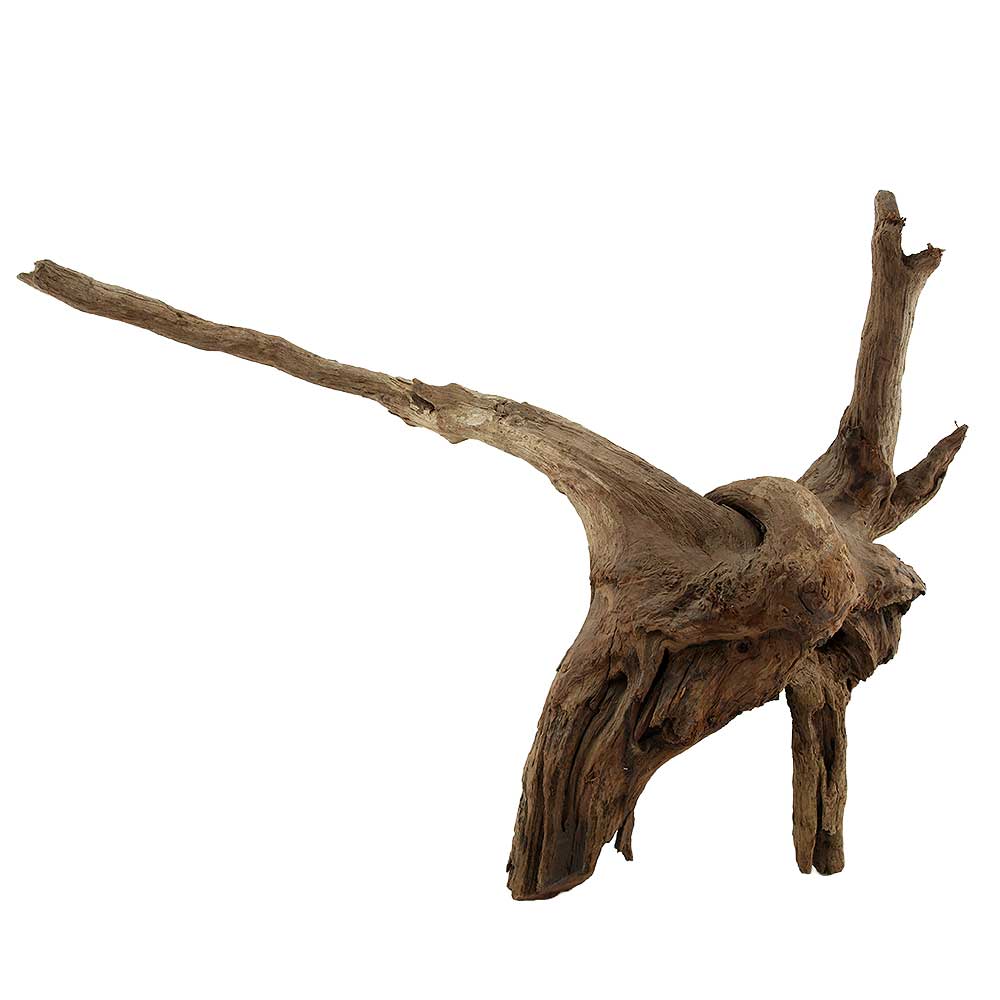 Legno Drift Wood 143 con foto reale e misure 65x24x48h cm