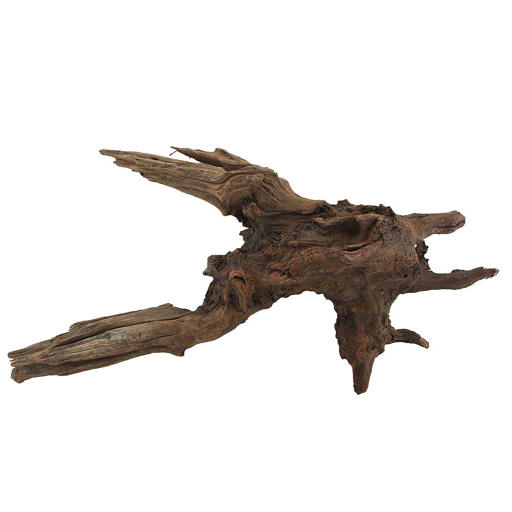 Legno Drift Wood 144 con foto reale e misure 55x18x28h cm