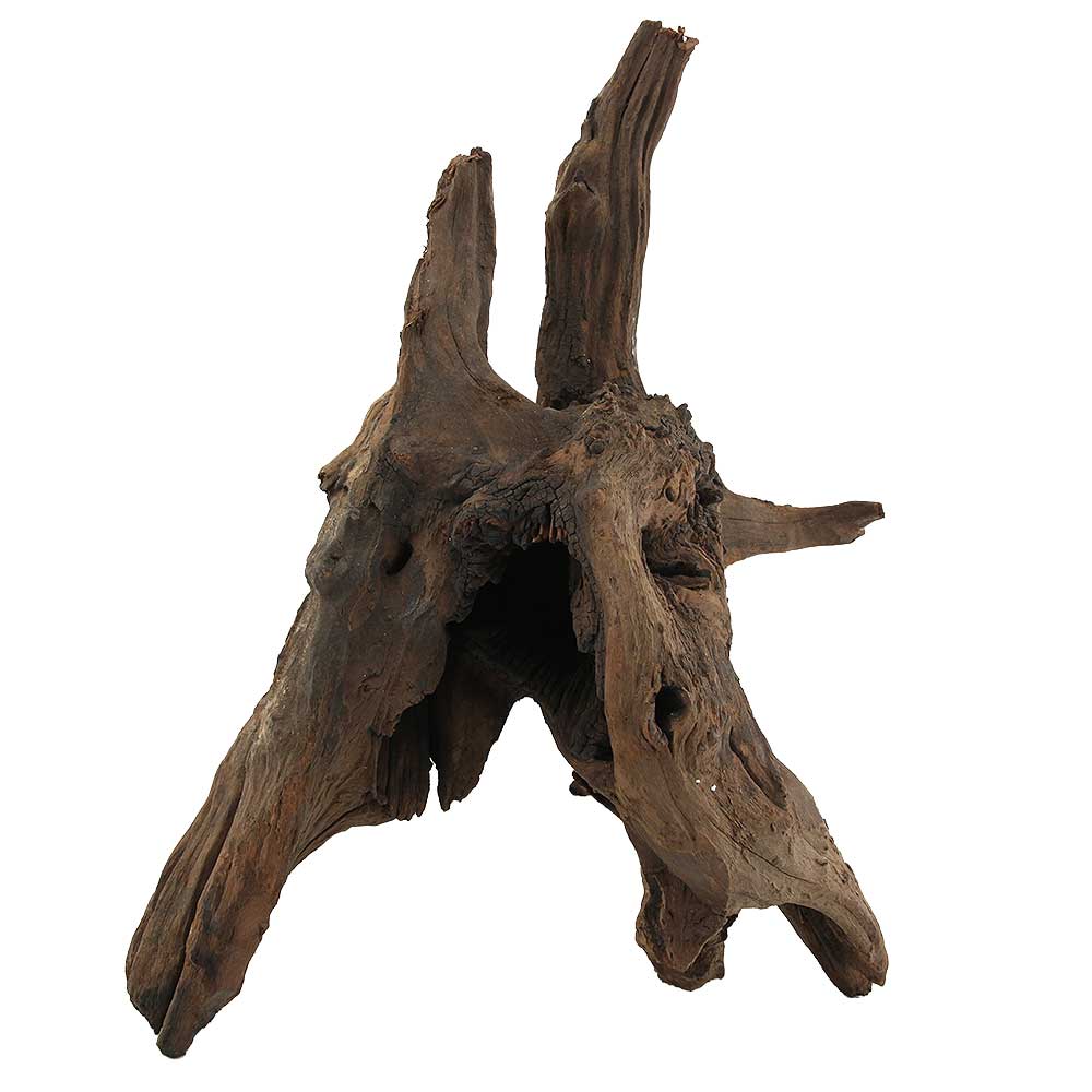 Legno Drift Wood 147 con foto reale e misure 33x18x42h cm