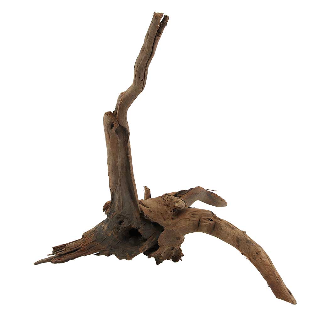 Legno Drift Wood 148 con foto reale e misure 45x29x43h cm