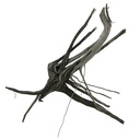 Legno Black Root 2 con foto reale e misure 32x12x28h cm