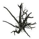 Legno Black Root 5 con foto reale e misure 41x30x28h cm