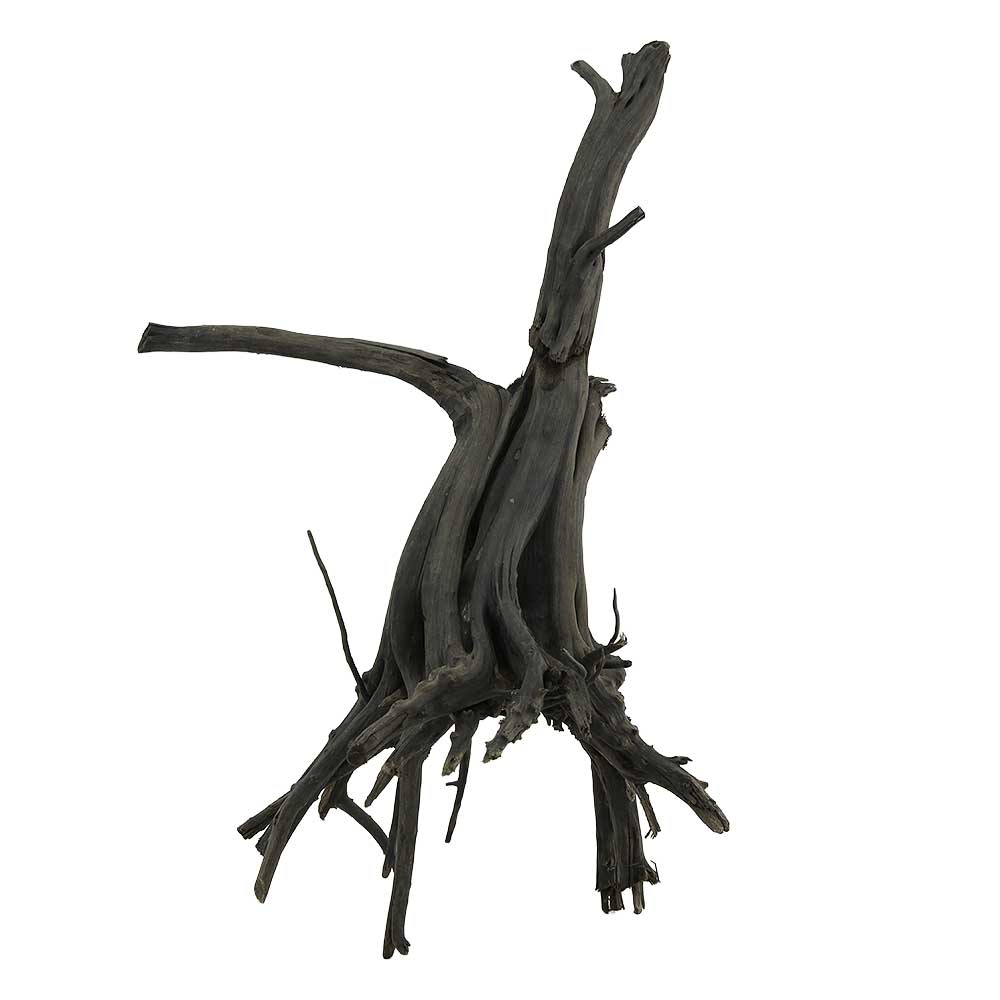 Legno Black Root 7 con foto reale e misure 22x22x34h cm
