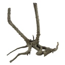 Legno Black Root 9 con foto reale e misure 36x25x33h cm