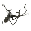 Legno Black Root 10 con foto reale e misure 32x17x21h cm