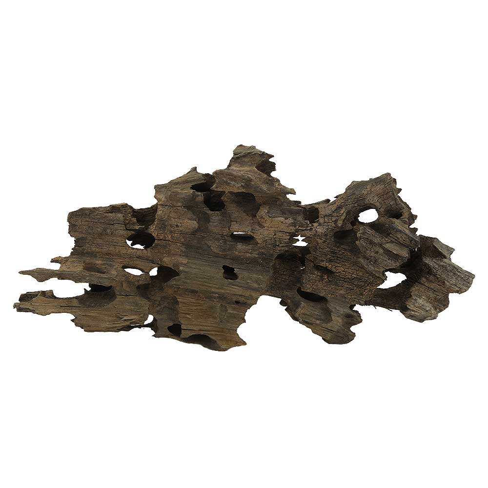 Legno Honey Comb 69 con foto reale e misure 35x6x16h cm