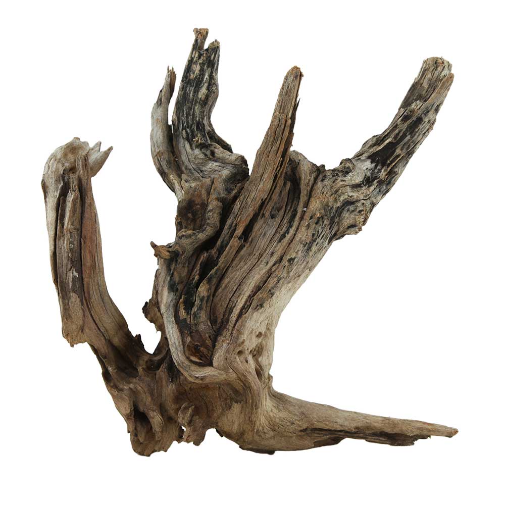 Legno Drift Wood 156 con foto reale e misure 27x13x24h cm