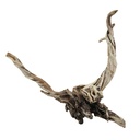 Legno Drift Wood 157 con foto reale e misure 46x22x38h cm