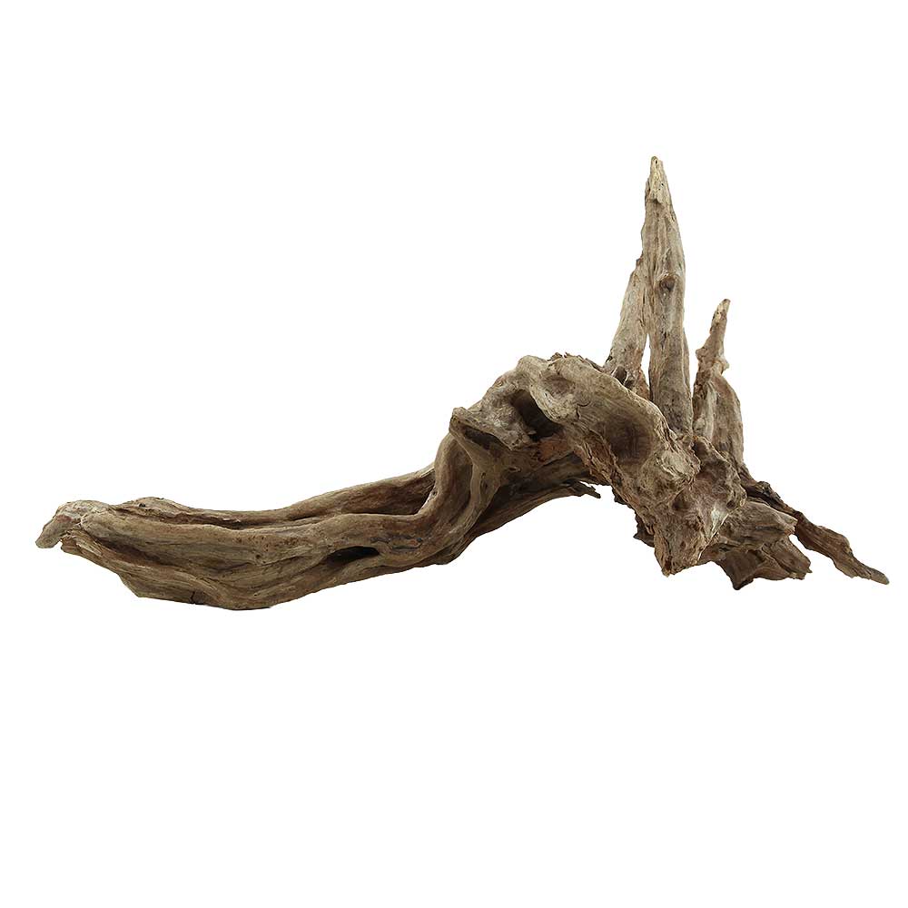 Legno Drift Wood 159 con foto reale e misure 43x21x22h cm