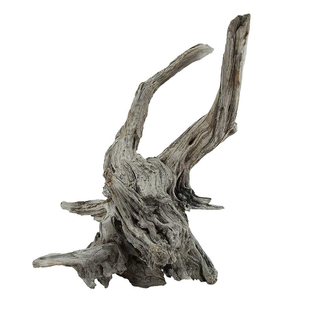 Legno Drift Wood 160 con foto reale e misure 28x22x34h cm