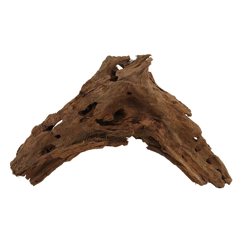 Legno Radice Mangrovia 408 con Foto Reale e Misure 32x7x20h cm