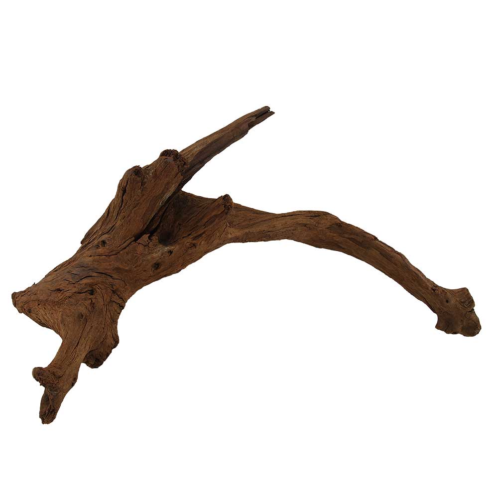 Legno Radice Mangrovia 409 con Foto Reale e Misure 40x18x18h cm