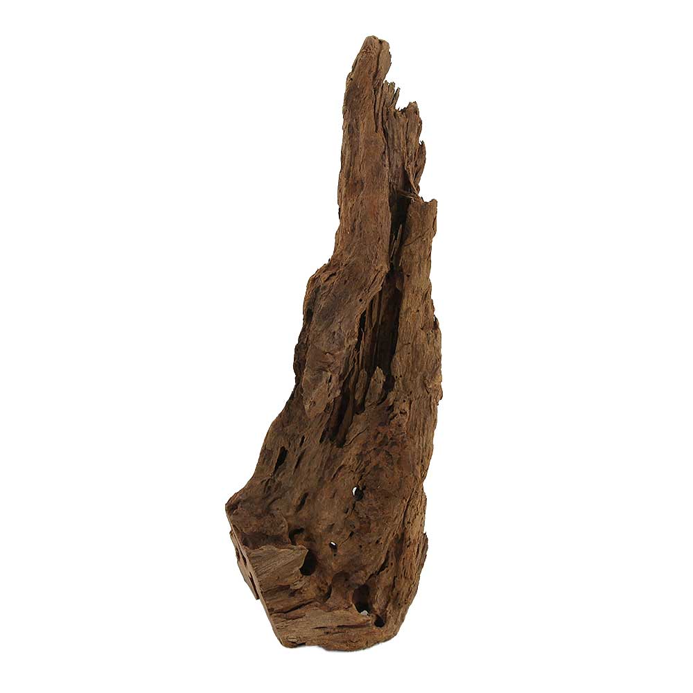 Legno Radice Mangrovia 410 con Foto Reale e Misure 13x9x34h cm