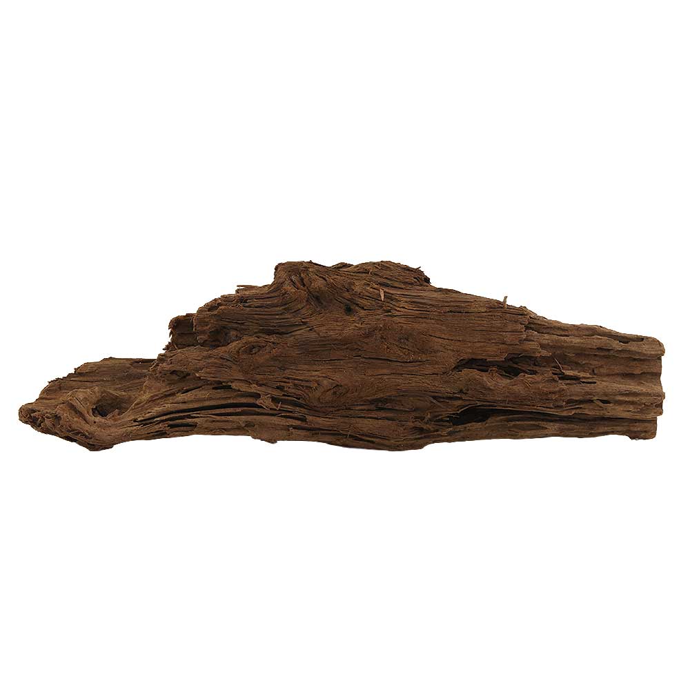 Legno Radice Mangrovia 411 con Foto Reale e Misure 35x7x11h cm