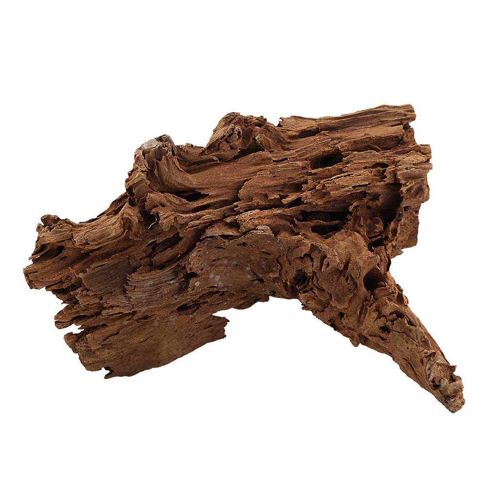 Legno Radice Mangrovia 414 con Foto Reale e Misure 30x13x20h cm
