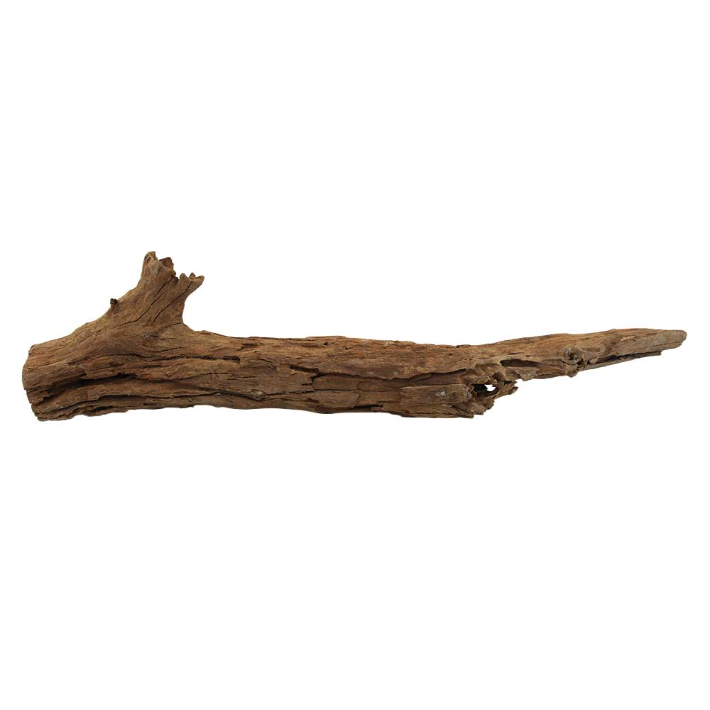 Legno Radice Mangrovia 415 con Foto Reale e Misure 52x8x13h cm