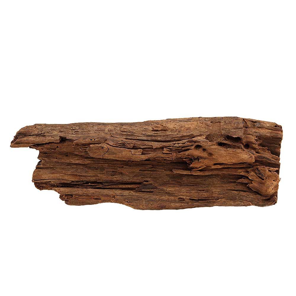 Legno Radice Mangrovia 418 con Foto Reale e Misure 34x7x10h cm