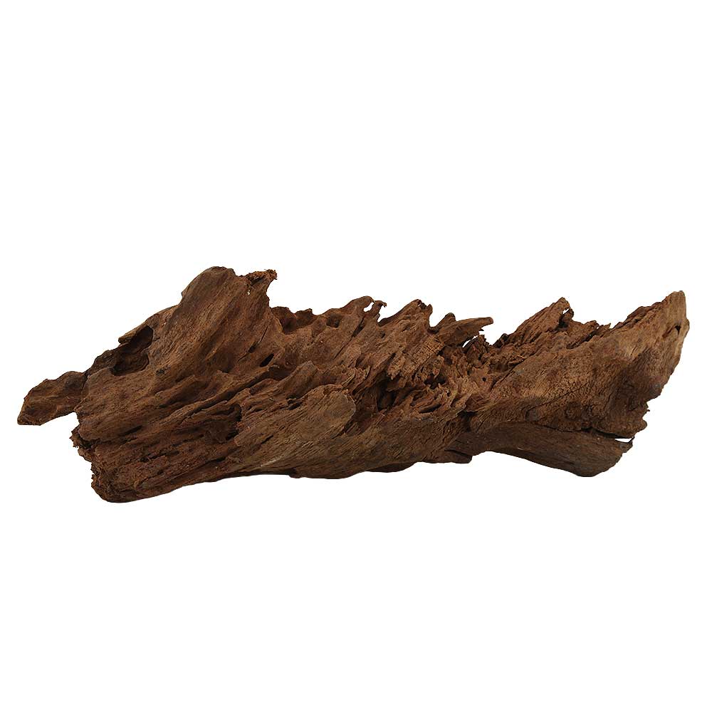 Legno Radice Mangrovia 419 con Foto Reale e Misure 29x8x10h cm