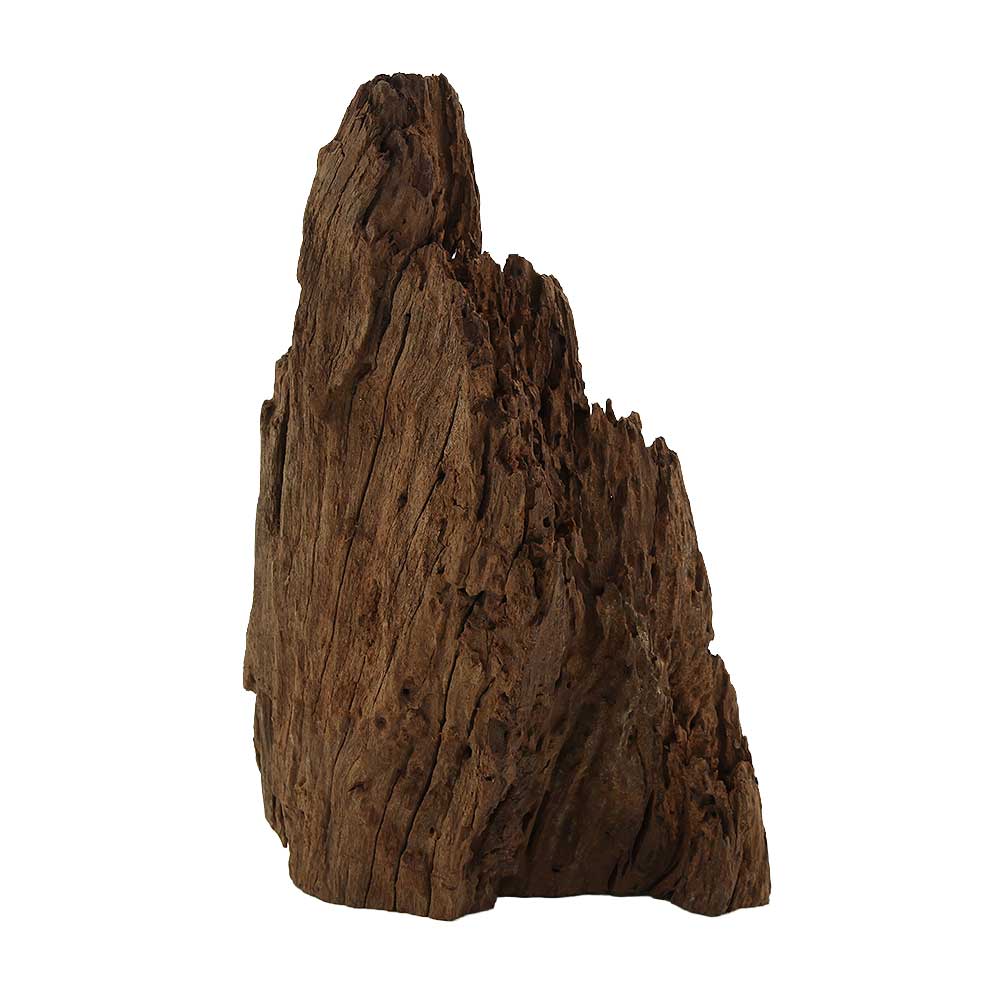 Legno Radice Mangrovia 420 con Foto Reale e Misure 18x10x28h cm