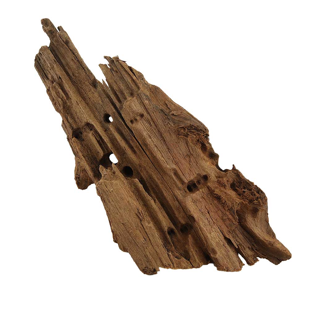 Legno Radice Mangrovia 421 con Foto Reale e Misure 22x13x22h cm