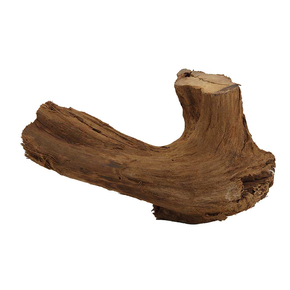 Legno Radice Mangrovia 422 con Foto Reale e Misure 22x9x13h cm