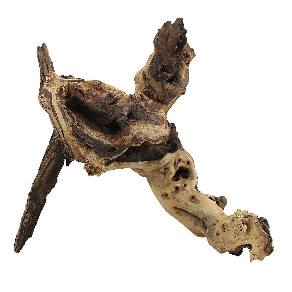 Legno Mopani 899 con Foto Reale e Misure 27x14x26h cm