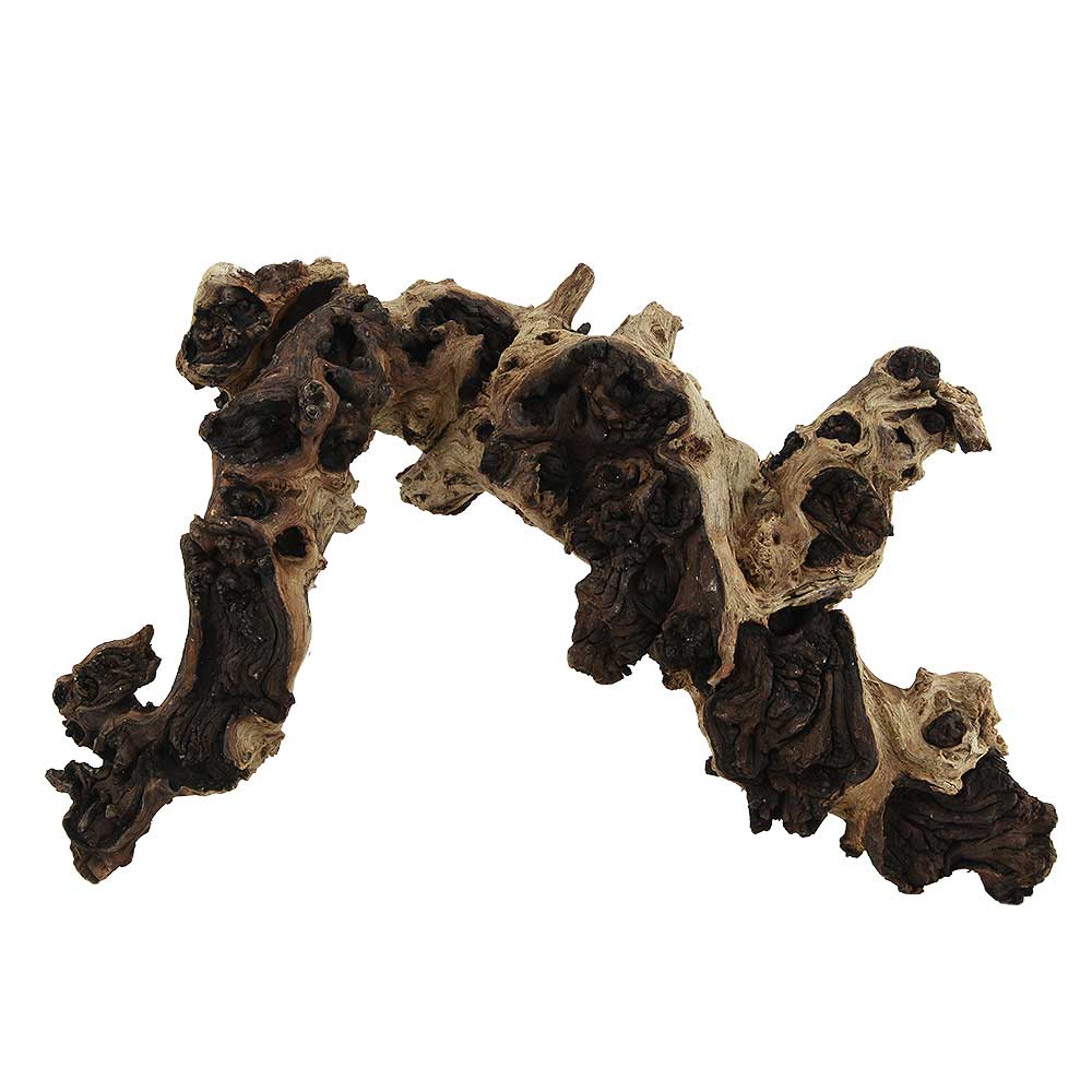 Legno Mopani 901 con Foto Reale e Misure 32x11x21h cm