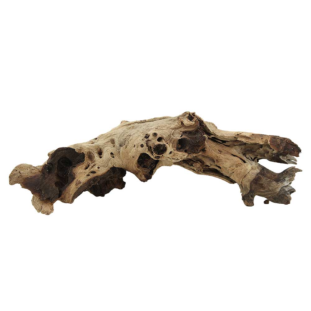 Legno Mopani 904 con Foto Reale e Misure 33x11x12h cm