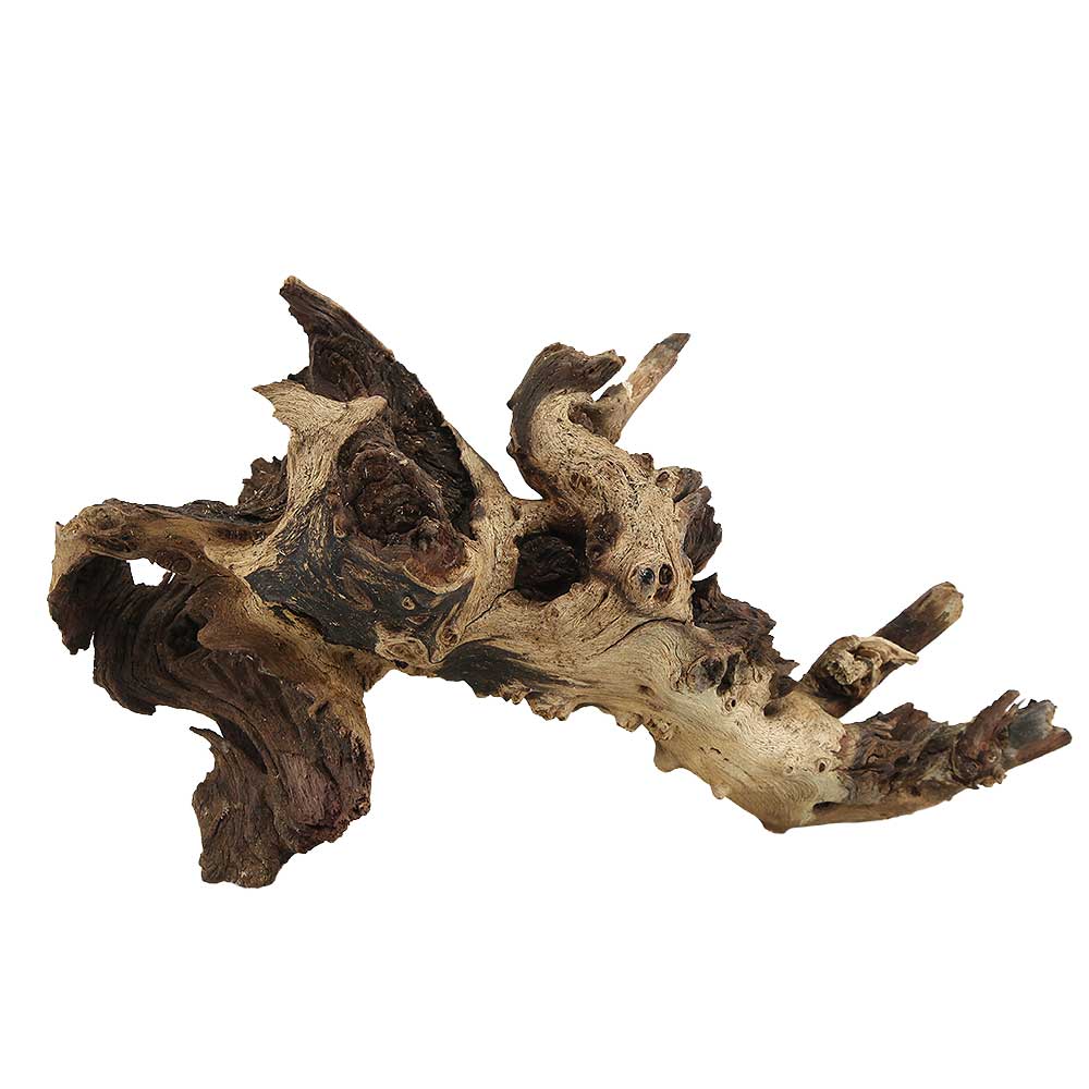 Legno Mopani 905 con Foto Reale e Misure 32x13x17h cm