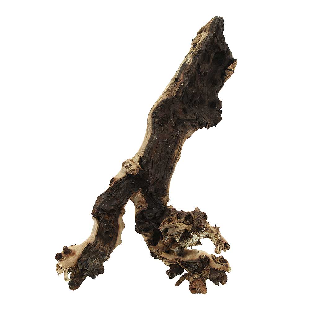 Legno Mopani 906 con Foto Reale e Misure 26x17x38h cm