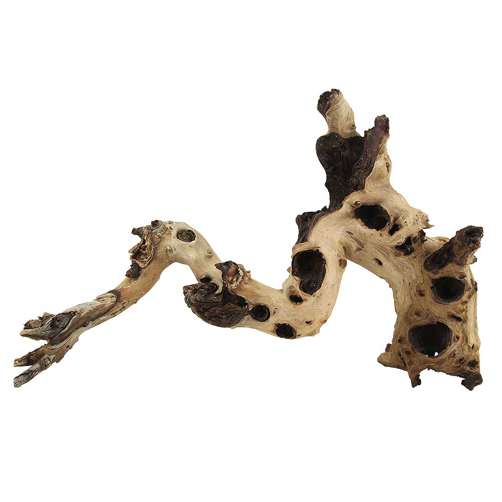 Legno Mopani 907 con Foto Reale e Misure 40x14x26h cm