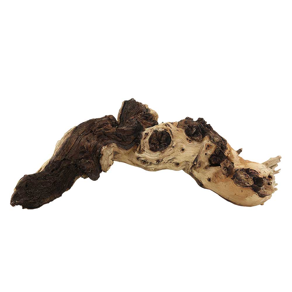 Legno Mopani 908 con Foto Reale e Misure 37x14x14h cm