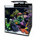 Blue Marine Reef 60 Acquario marino completo 60 Litri circa 350x451x405h mm