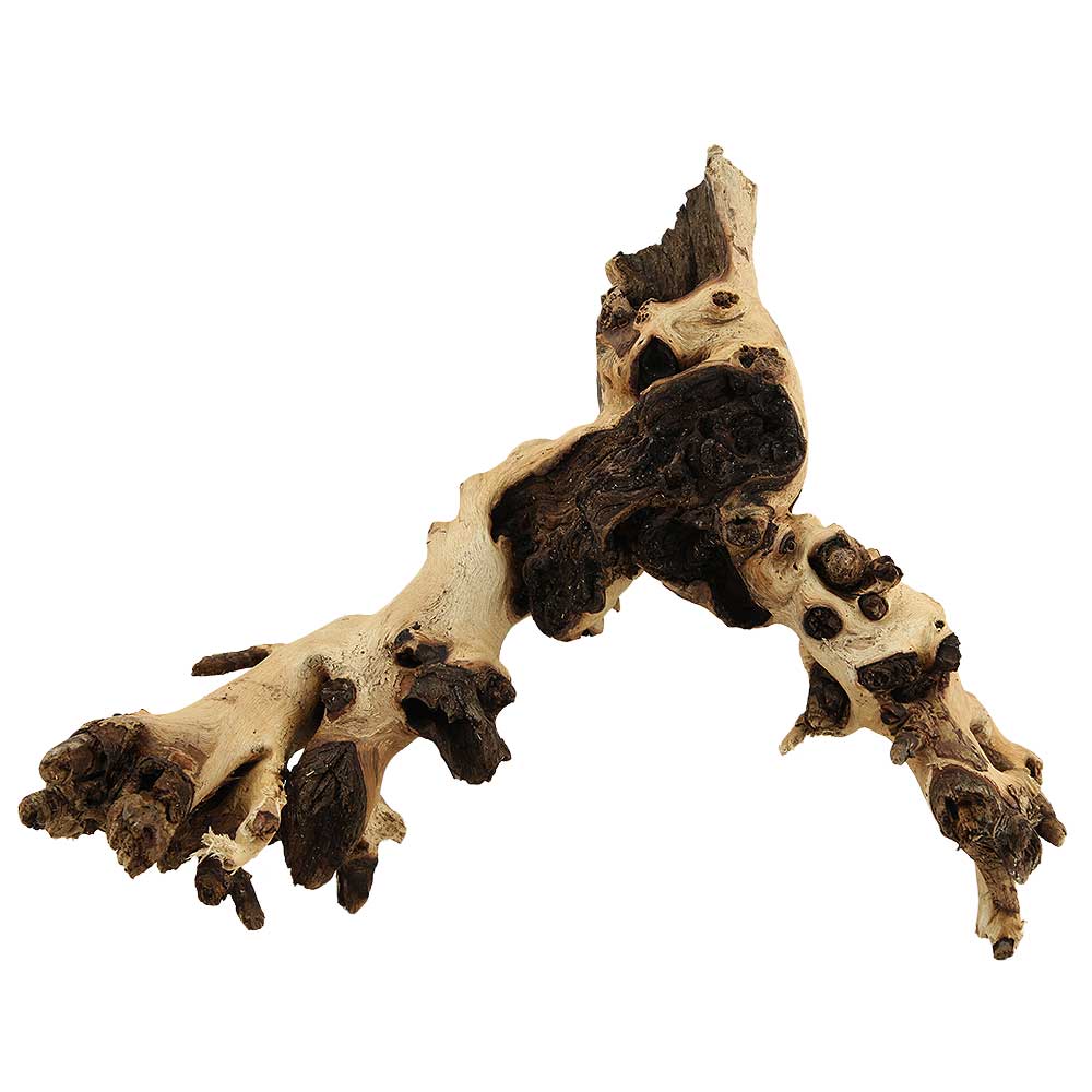 Legno Mopani 911 con Foto Reale e Misure 30x13x24h cm