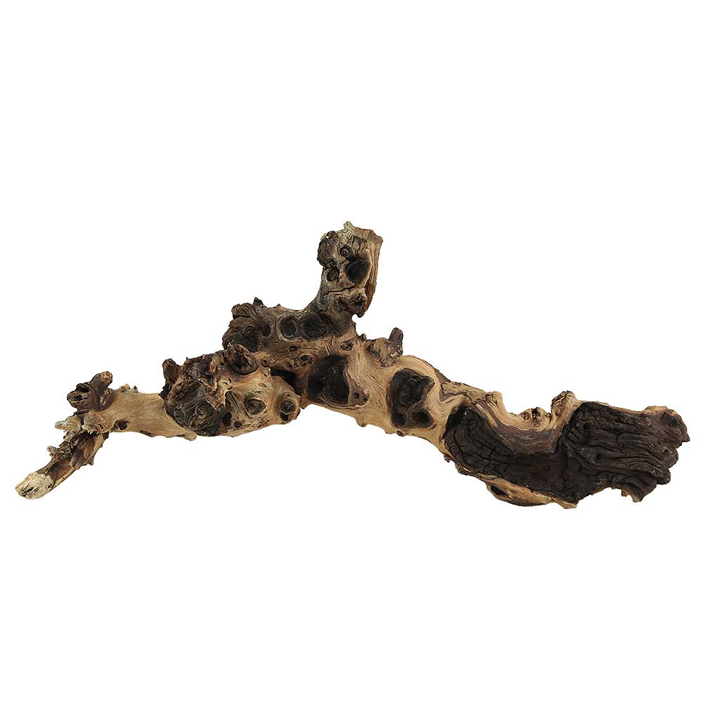 Legno Mopani 916 con Foto Reale e Misure 43x11x18h cm