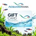 Carta regalo da 200 euro