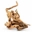 Legno Branch Wood 2295 con foto reale e misure 17x16x19h