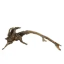Legno Drift Wood 165 con foto reale e misure 43x17x17h