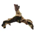 Legno Mopani 915 con Foto Reale e Misure 30x9x24h cm