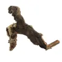 Legno Mopani 917 con Foto Reale e Misure 29x10x24h cm