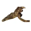 Legno Mopani 921 con Foto Reale e Misure 32x11x19h cm