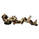 Legno Mopani 935 con Foto Reale e Misure 40x15x11h cm