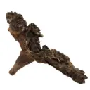 Legno Mopani 937 con Foto Reale e Misure 26x14x23h cm
