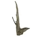Legno Thai Orchidea 1 con Foto Reale e Misure 36x18x65h cm