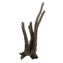 Legno Thai Orchidea 7 con Foto Reale e Misure 19x14x42h cm
